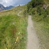 UTMB2019冒険記４：レースのペースはこんなでした！