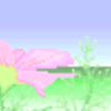 ウクレレ始めました♬