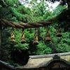 大神神社写真館(６/５)