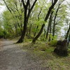 2024/04/12 羽村・拝島散歩 04 長徳寺上水植物園/新堀橋/金毘羅大権現/下記福生加美上水公園ビジターセンター自然塾/多摩川緑地福生加美上水公園/加美上水橋/宮本橋