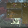 イベントクエスト行ったら砲術珠IIが出ました【MHWilds】