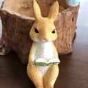 ろーたすのふらりブログ