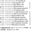 森林管理と昆虫ーカミキリムシ類(1)