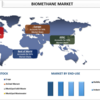 バイオメタン市場規模、シェア、成長、および2030年までの予測