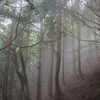 【登山】東京都の最高峰・雲取山（２）