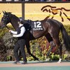 もう少しヒントをください！