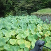 山を駆け安芸津へ海を経由して帰路へ（山から安芸津編）