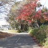 歩き旅のスケッチ［日光道中］３２・・・大沢宿へ