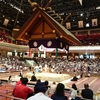 大相撲'20.7月場所感想「一人マス席最高やわ」