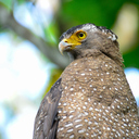 musashiman’ｓ book review