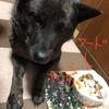 甲斐犬、(遅めの)節分メシと北京オリンピック開会式の巻〜ヾ(*~∀~*)ゞ ｵﾒﾃﾞﾄｫｰ