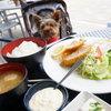 塩尻駅徒歩０分！テラス席ペットOK【あかい靴】