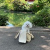 井の頭公園　犬連れ　ランチ