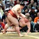 春場所７日目の結果　豊昇龍、霧島、高安ら勝ち１敗は６人　安青錦は綱取りが切れる４敗目