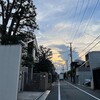 きなこ、やっぱり走る