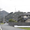 近所の桜をお花見散歩　前編