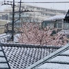 なごり雪