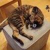 小さな四角い世界。