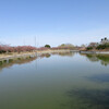 遺影と共に宮島池公園を散策