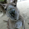 動物園とカラオケへお出かけ