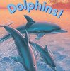 イルカについての知識を得ることができる英語読本　SIRシリーズStep 3から『Dolphins!』のご紹介