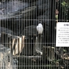 上野動物園に行って来た