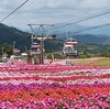 愛知県最高峰の茶臼山とサンパチェンス咲く萩太郎山に登りました