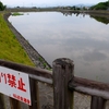 稲葉池（岐阜県美濃加茂）