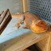 動いた？ ～3/19 191日目～