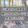 【三嶋大社・神鹿園】鹿たちのルーツは奈良だった!?鹿せんべい求めて寄ってきた子が可愛いかった