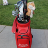 WITB｜パトリック・ロジャース｜2025-02-11｜The Genesis Invitational