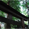 大神神社写真館（６/１１）