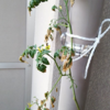 さらに肥料をぶっこむ