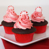  Peppermint Mocha Cupcakes