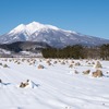 2017年最初の岩木山