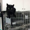 本日は休診日です 20180207