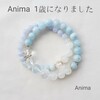 222 Anima一周年です