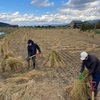 無農薬で米作り。藁の行方。