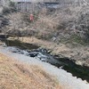 3月13日(木)秩父フライフィールドの河川情報
