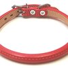 愛犬の首元に革命！ ONSロール丸首輪で始める、ストレスフリーな散歩生活