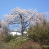 4月の土曜日