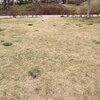 今日のツイート