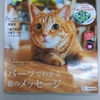 ねこのきもち9月号が届きました～ふわふわじゃらし&もりのかくれんぼBOXは2ニャンも気に入りそう♪ねこのきもち+PLUSは全くお得感なし！！