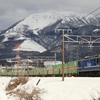 雪の伊吹山と貨物列車
