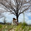 雨の合間に