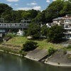 多摩川の風景