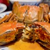 上海ガニ食べたい！知っておこう、様々な食べ方 - お勧め上海蟹料理・リーズナブルなオススメレストラン徹底紹介