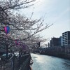 YOKOHAMA de OHANAMI