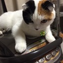 sakura4try’s diary