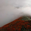 雲の中、紅葉鮮やかな谷川岳～万太郎山へ